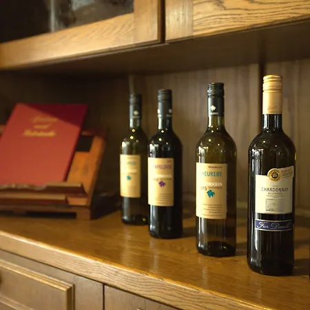 Airport Walldorf Ξενοδοχείο 4*