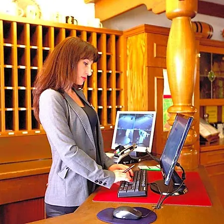 Hotel Airport Walldorf