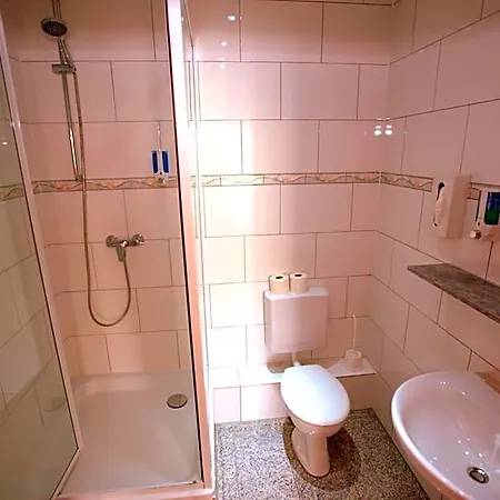 Hotel Airport Walldorf 4*