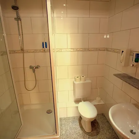 酒店 Airport Walldorf 4*