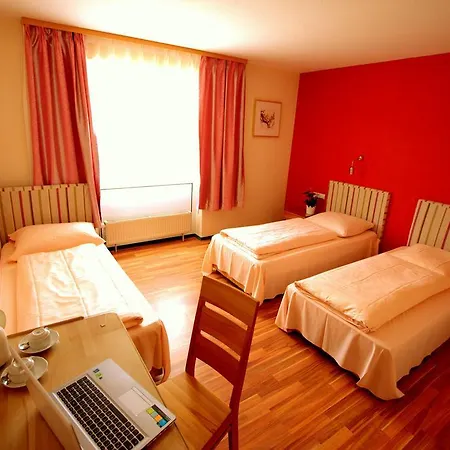 Hotel Airport Walldorf 4*