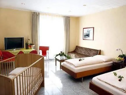 Hotel Airport Walldorf 4*